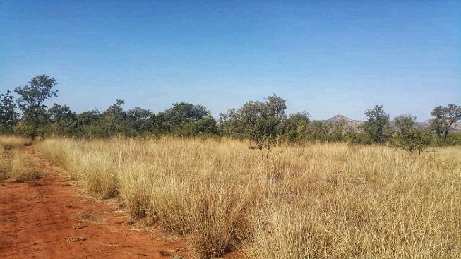 11 Bedroom Property for Sale in Rustenburg North West